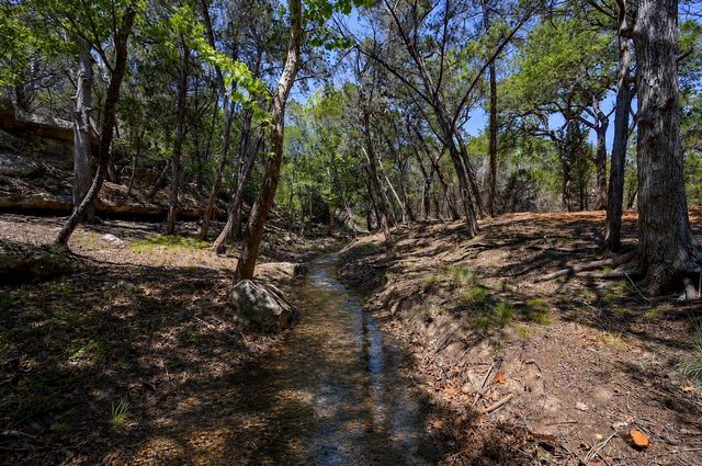 15425 Fitzhugh RD, Dripping Springs, TX 78620