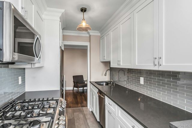 1 Birchwood 5J, Mineola, NY 11501
