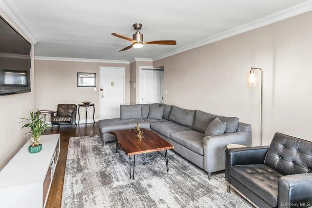 1 Birchwood 5J, Mineola, NY 11501
