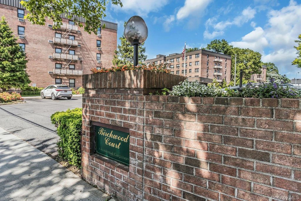 1 Birchwood 5J, Mineola, NY 11501