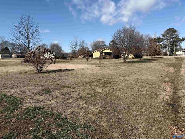 332 Joe Hope Drive, Geraldine, AL 35974