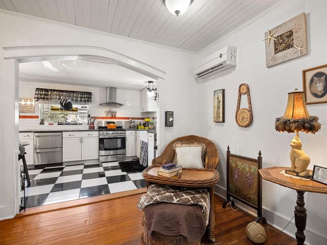 335 SIMPSON, Mount Dora, FL 32757