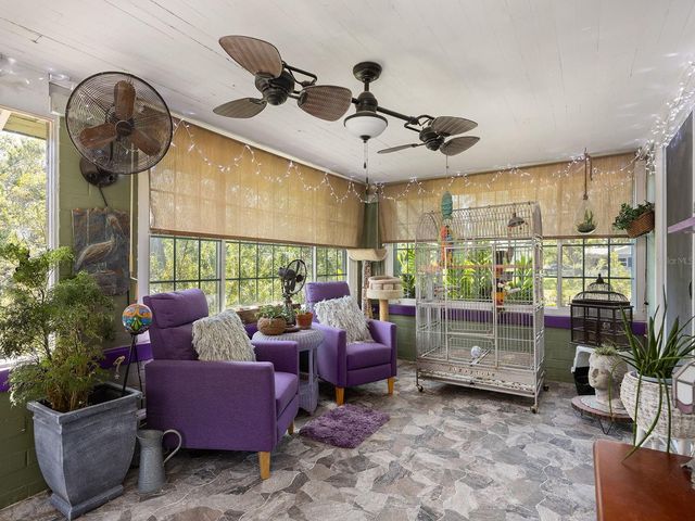 335 SIMPSON, Mount Dora, FL 32757