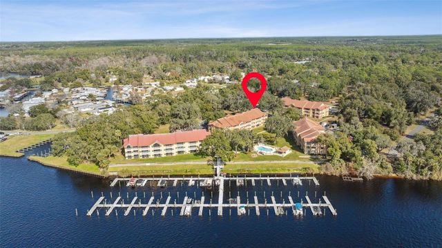99 BROAD RIVER PLACE 2107, Welaka, FL 32193