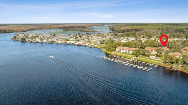 99 BROAD RIVER PLACE 2107, Welaka, FL 32193