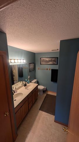 501 Cedar Court NE, Pine Island, MN 55963