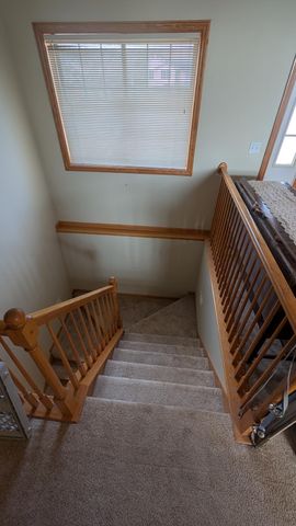 501 Cedar Court NE, Pine Island, MN 55963