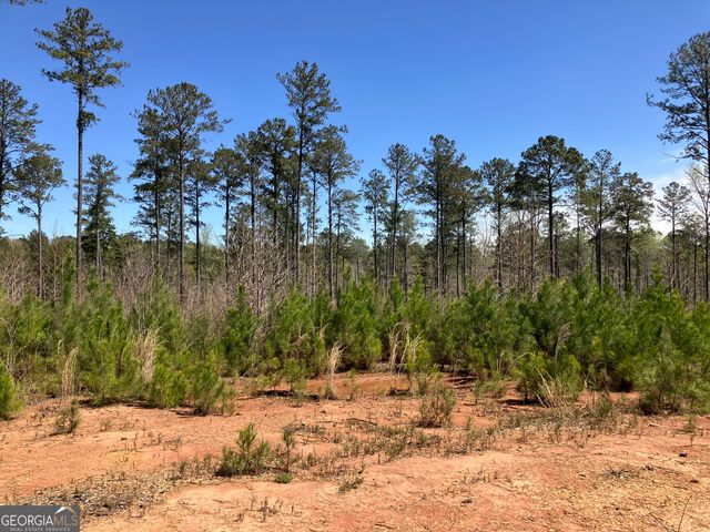 2920 Airline Road, Mcdonough, GA 30252