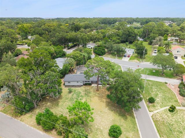 1510 OVERLOOK DRIVE, Mount Dora, FL 32757