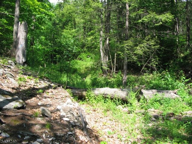 67 Pidgeon Hill, Wantage Twp., NJ 07461