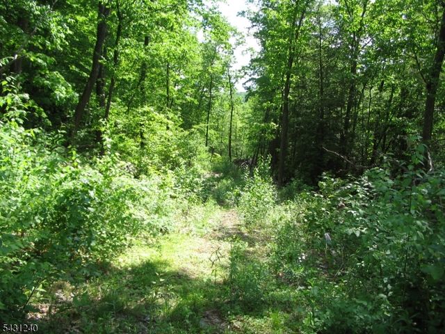 67 Pidgeon Hill, Wantage Twp., NJ 07461