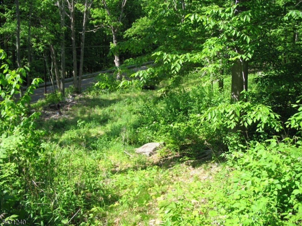 67 Pidgeon Hill, Wantage Twp., NJ 07461