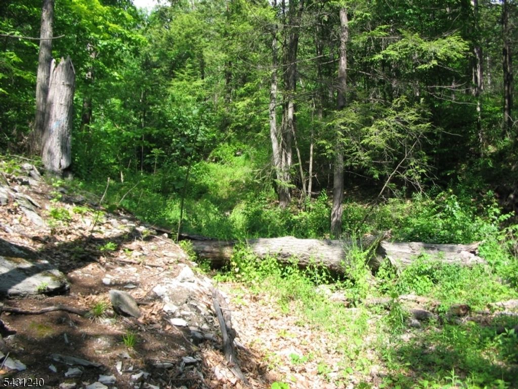 67 Pidgeon Hill, Wantage Twp., NJ 07461 — photo 3