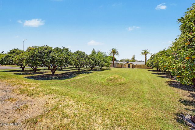 2320 W HARRISON Street, Chandler, AZ 85224