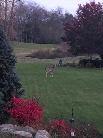 1335 N Silo Ridge Drive, Ann Arbor, MI 48108