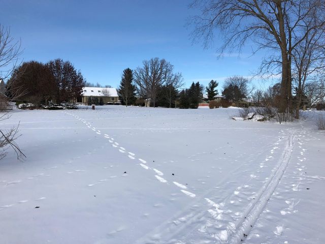 1335 N Silo Ridge Drive, Ann Arbor, MI 48108