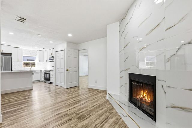 10217 N PAWNEE AVENUE, Tampa, FL 33617