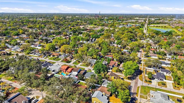 10217 N PAWNEE AVENUE, Tampa, FL 33617