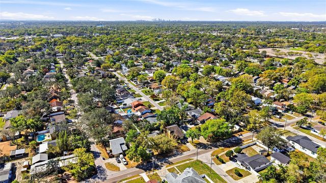 10217 N PAWNEE AVENUE, Tampa, FL 33617