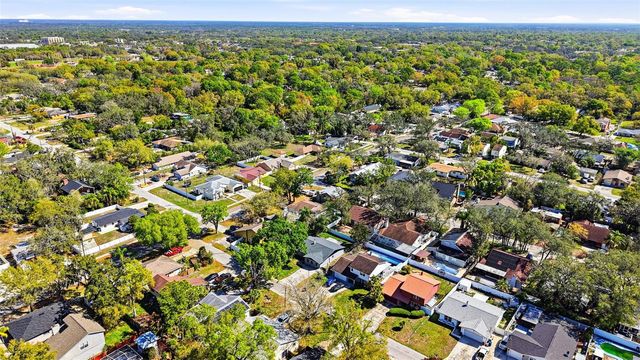 10217 N PAWNEE AVENUE, Tampa, FL 33617