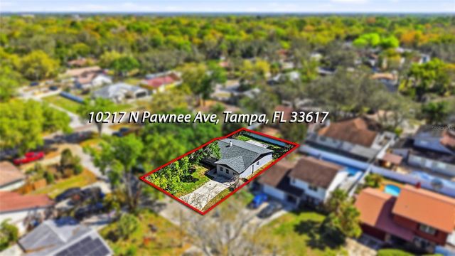 10217 N PAWNEE AVENUE, Tampa, FL 33617