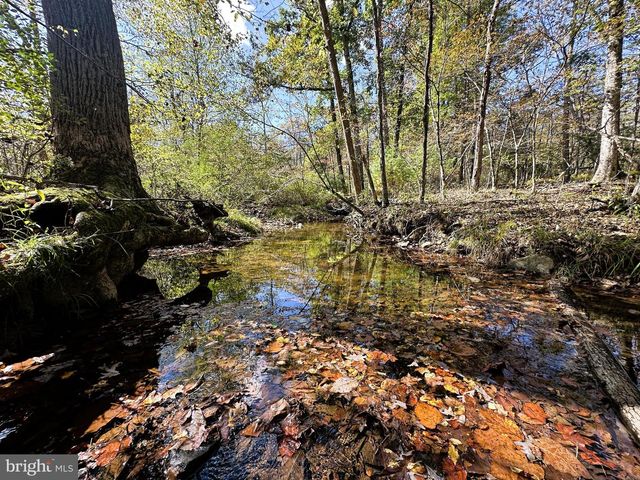 398 SPRING RUN RD, Wardensville, WV 26851