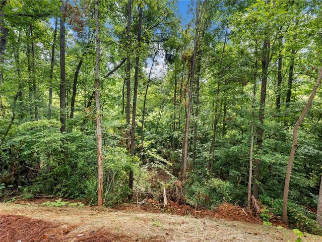 5377 Stillwater Lane, Braselton, GA 30517