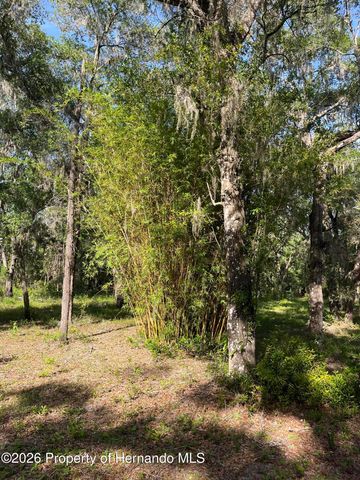 0000 Wiscon Road, Brooksville, FL 34601