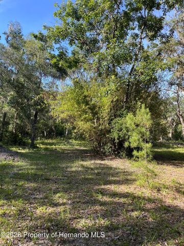 0000 Wiscon Road, Brooksville, FL 34601