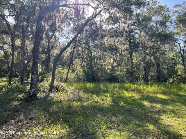 0000 Wiscon Road, Brooksville, FL 34601