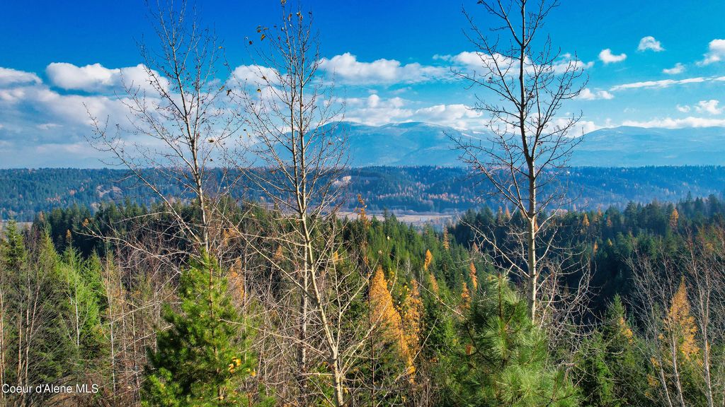 NNA 25 Acres Otter Ln, Naples, ID 83847