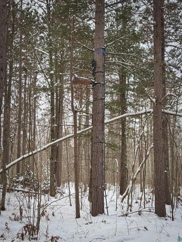 000 Campbell Rd, Herbster, WI 54844