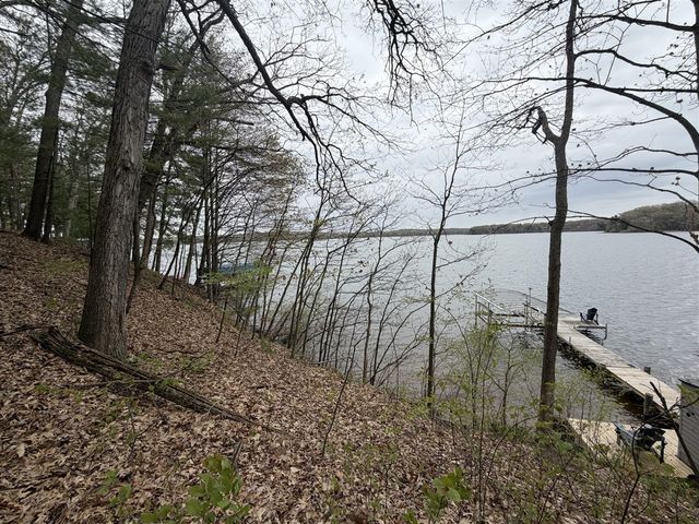 Wildwood Drive, Allegan, MI 49010
