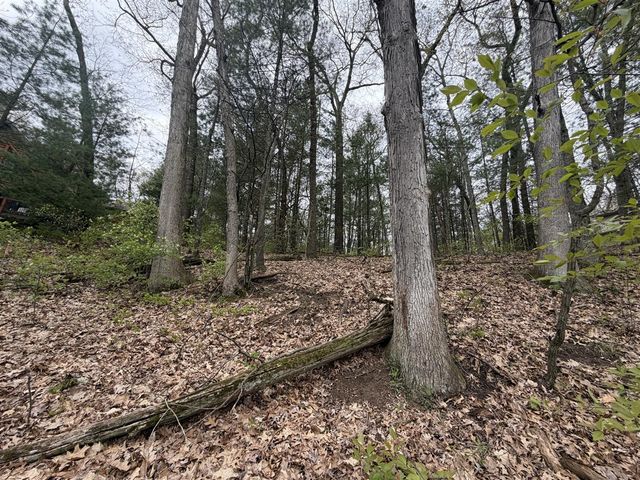 Wildwood Drive, Allegan, MI 49010