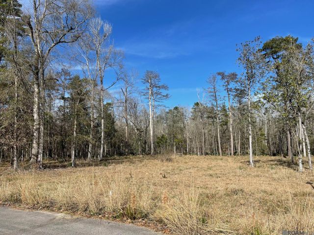 Lot 9 Ridgeway Ave, Denham Springs, LA 70726