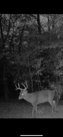 3175 Salem Road, Pine Mountain, GA 31822