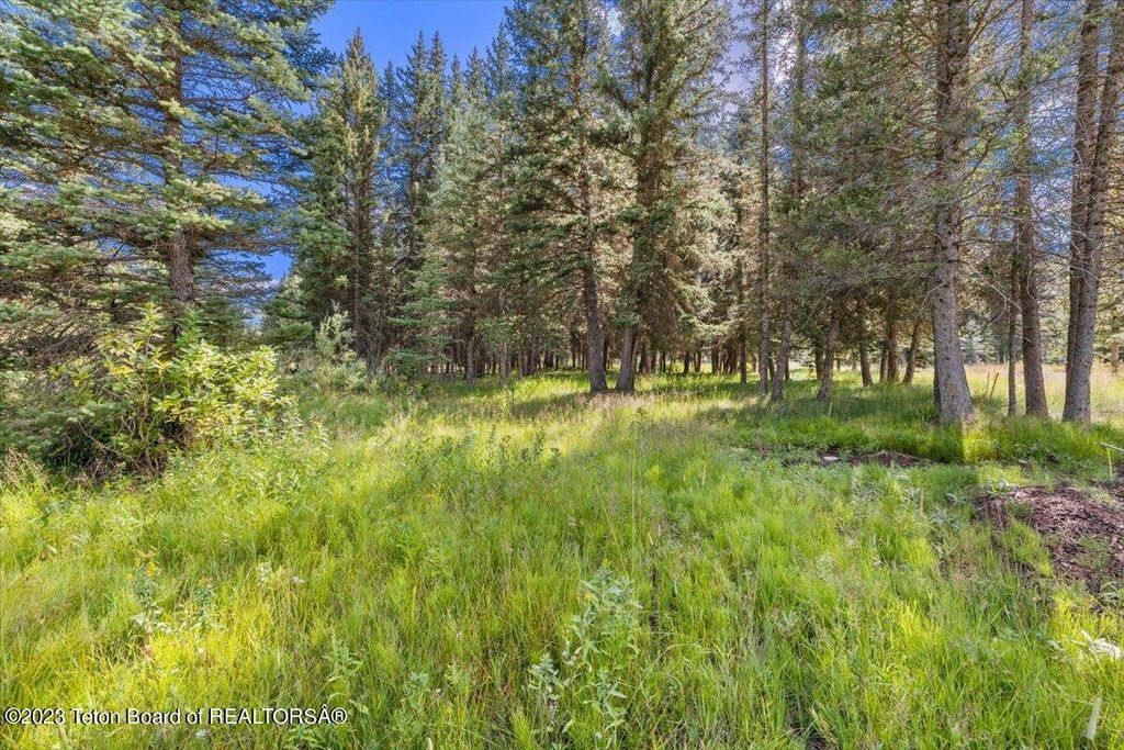 15630 S WAGON Road, Jackson, WY 83001 photo 11