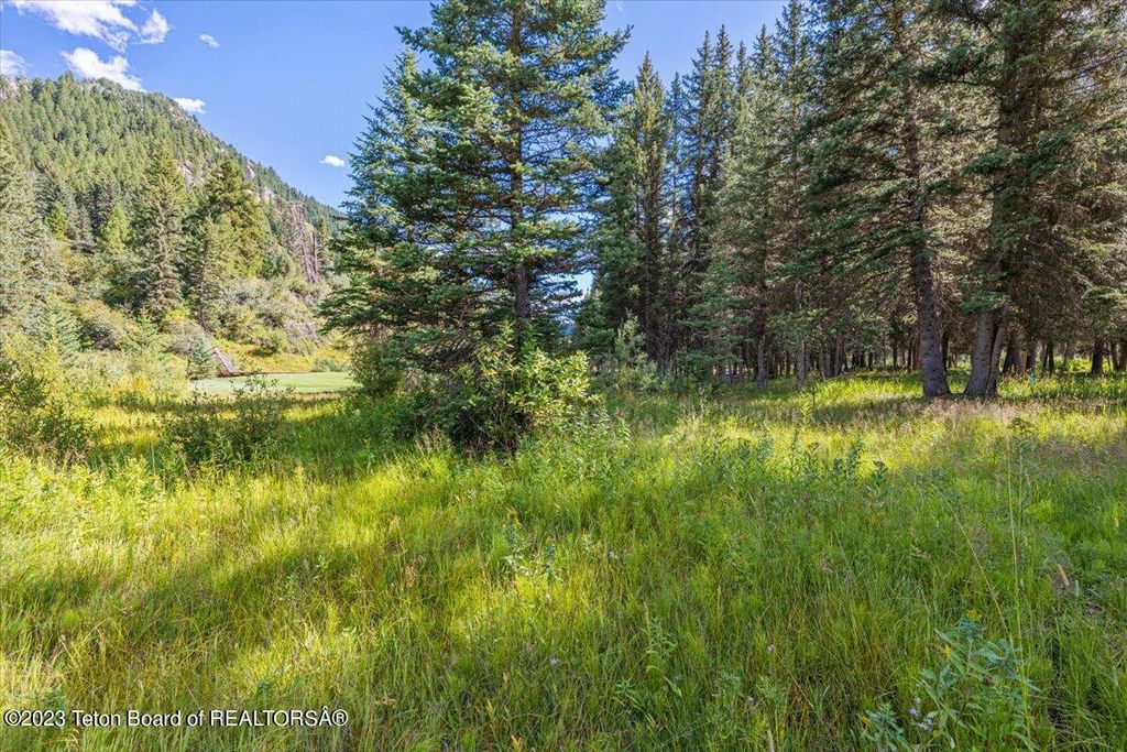 15630 S WAGON Road, Jackson, WY 83001 photo 12