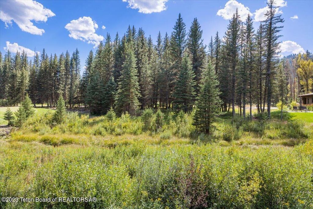 15630 S WAGON Road, Jackson, WY 83001 photo 13