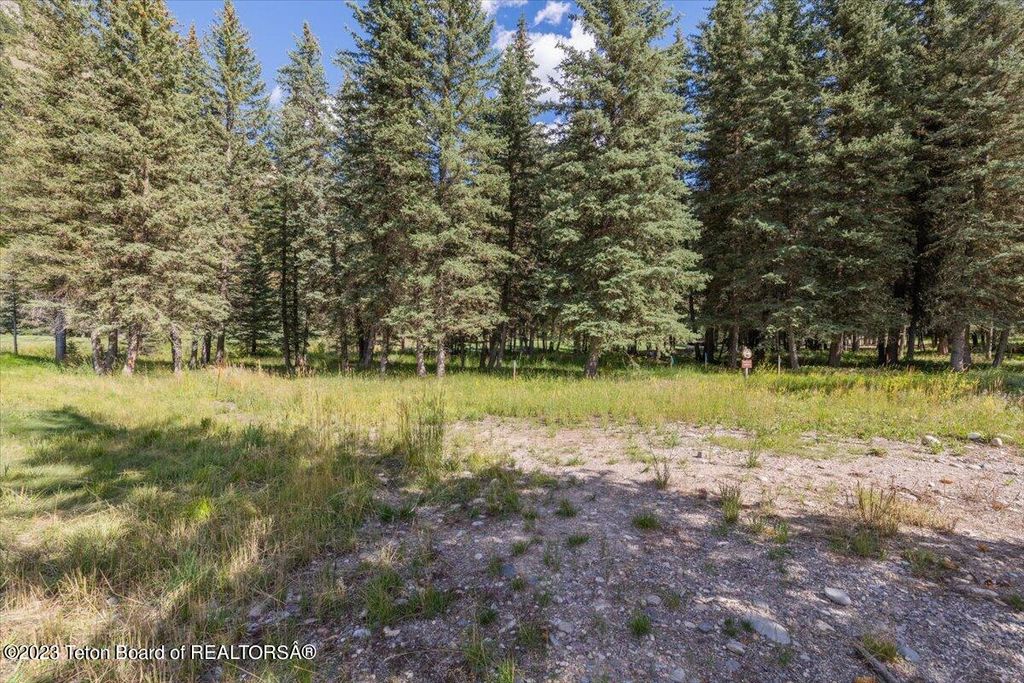 15630 S WAGON Road, Jackson, WY 83001 photo 14