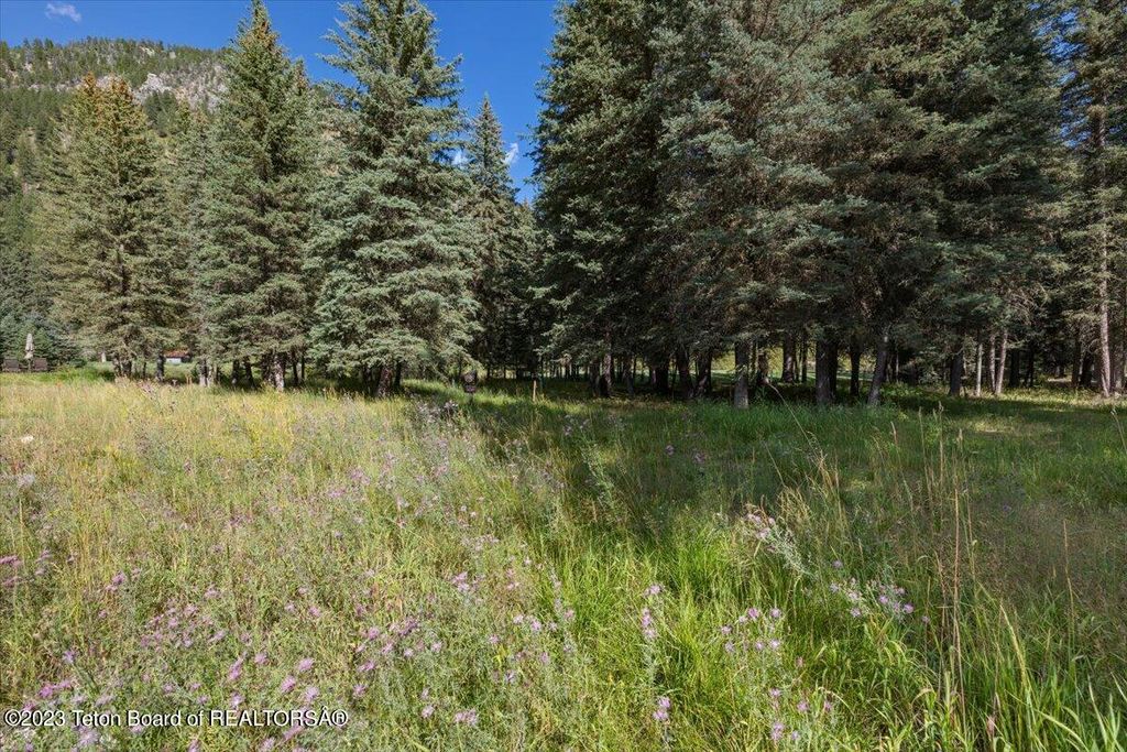 15630 S WAGON Road, Jackson, WY 83001 photo 15