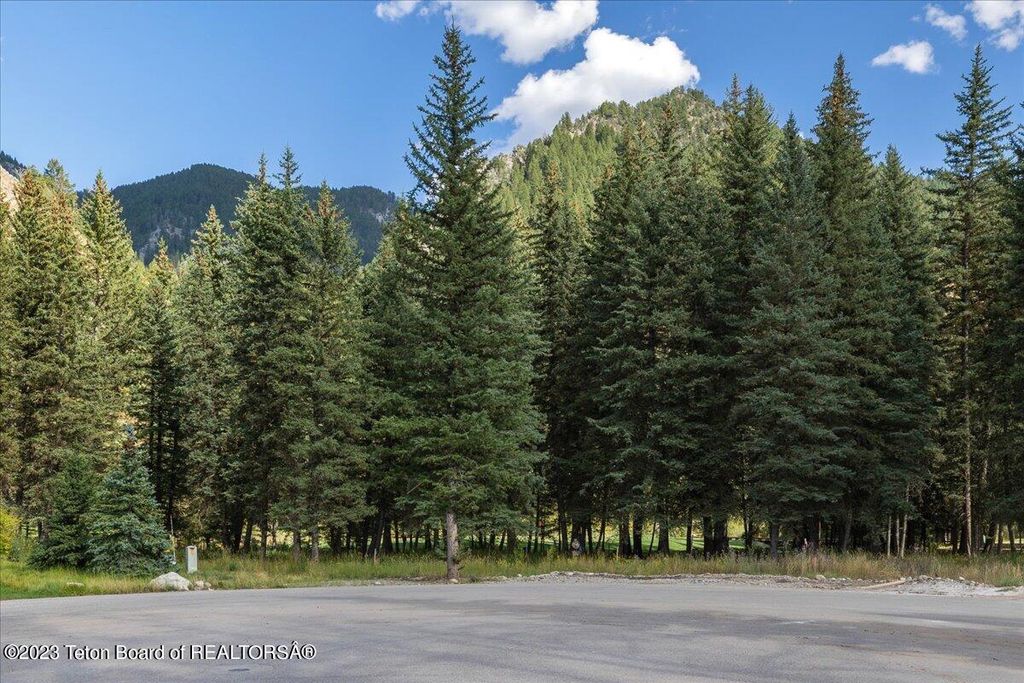 15630 S WAGON Road, Jackson, WY 83001 photo 16