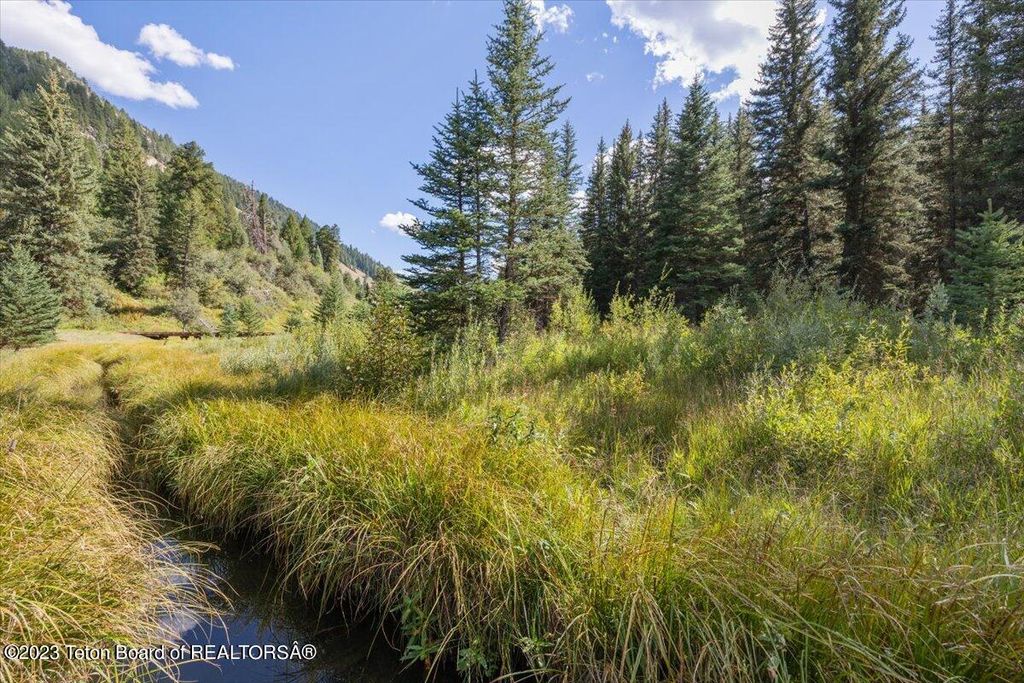 15630 S WAGON Road, Jackson, WY 83001 photo 4