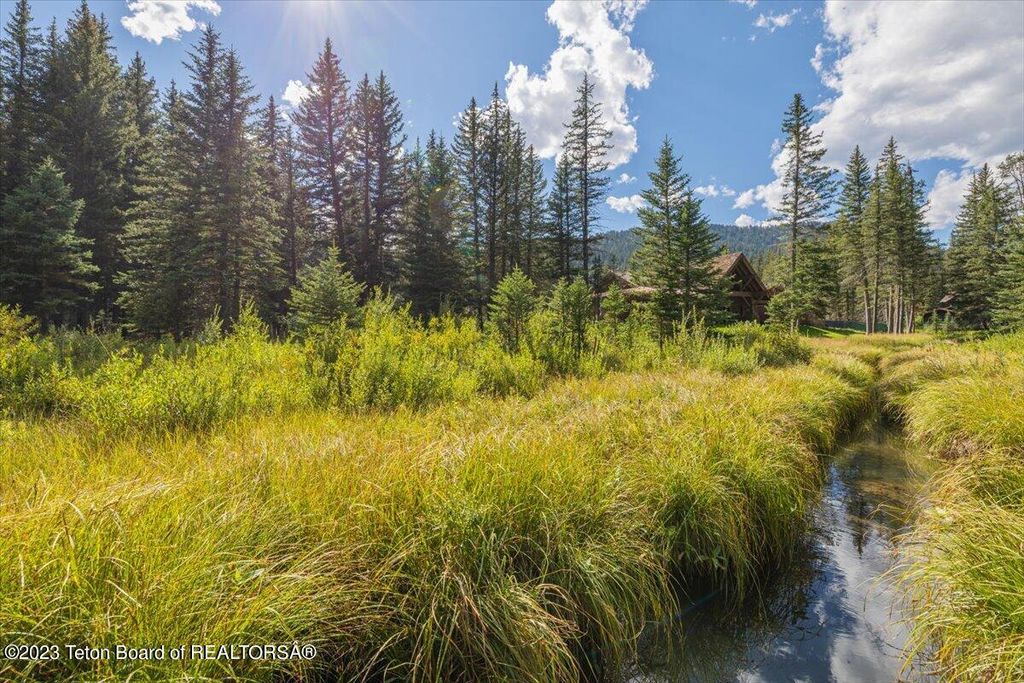 15630 S WAGON Road, Jackson, WY 83001 photo 5