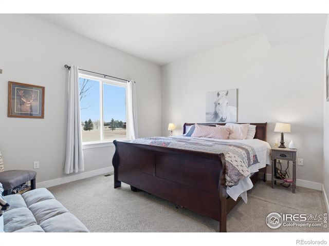 4165 Crittenton Lane 1, Wellington, CO 80549