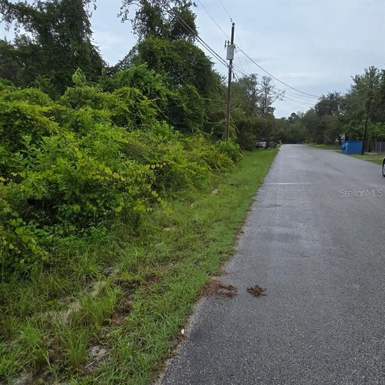 WANDELL, New Port Richey, FL 34654