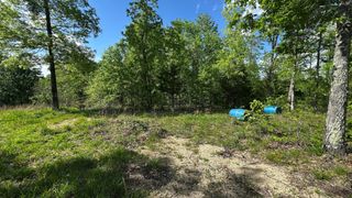 410 Hogg Hill Rd, Lobelville, TN 37097