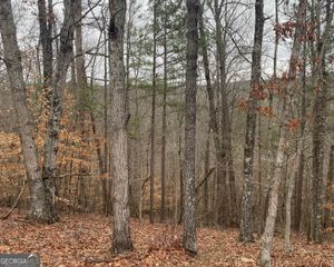 0 Crayfish Place, Talking Rock, GA 30175