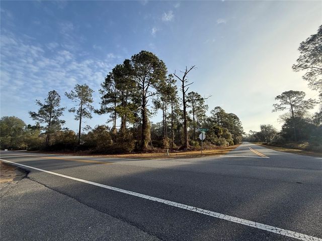 W THYME AVENUE, Eustis, FL 32736