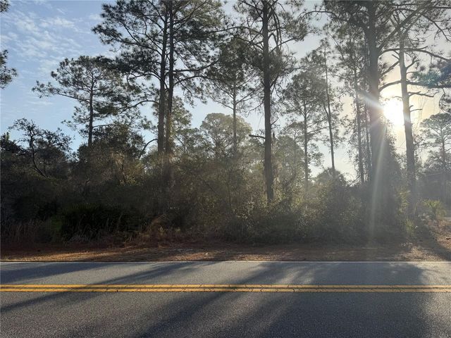 W THYME AVENUE, Eustis, FL 32736